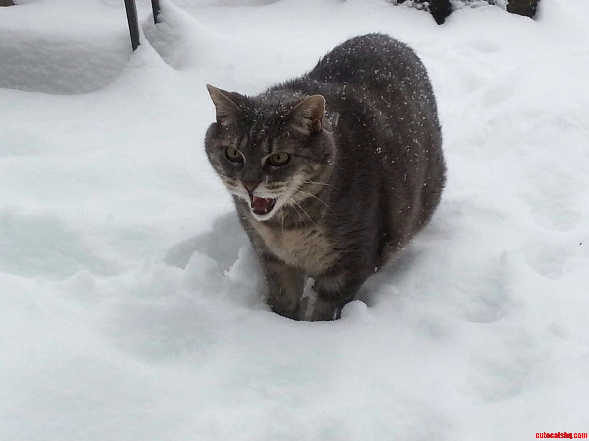 Winter Is No Match for Baby