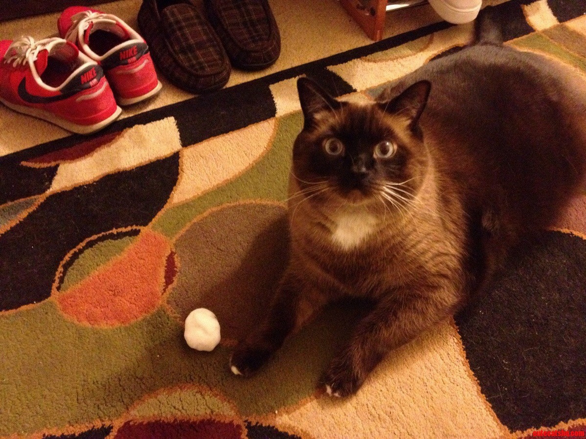 Yoshi and a Snowball.