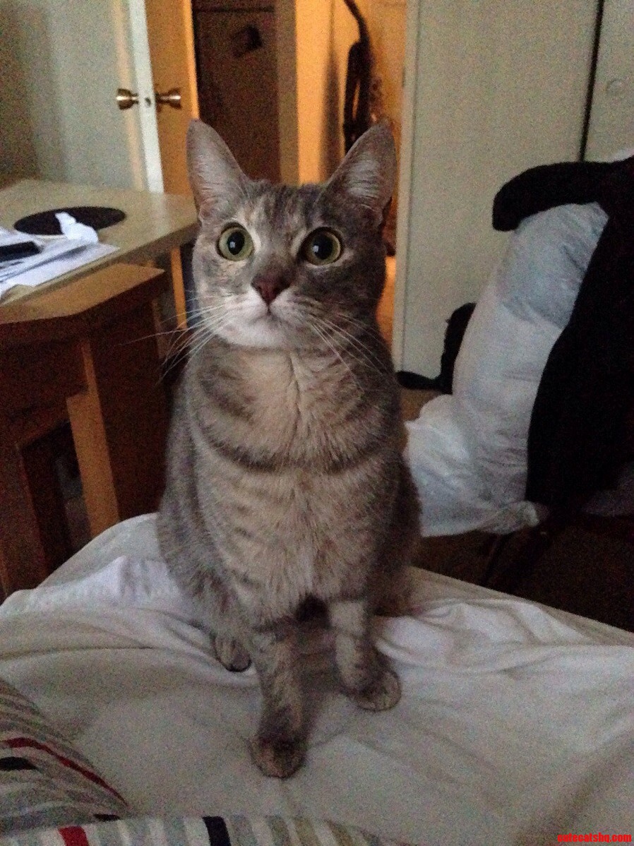Zaika She Just Loves to Wake Me Up.
