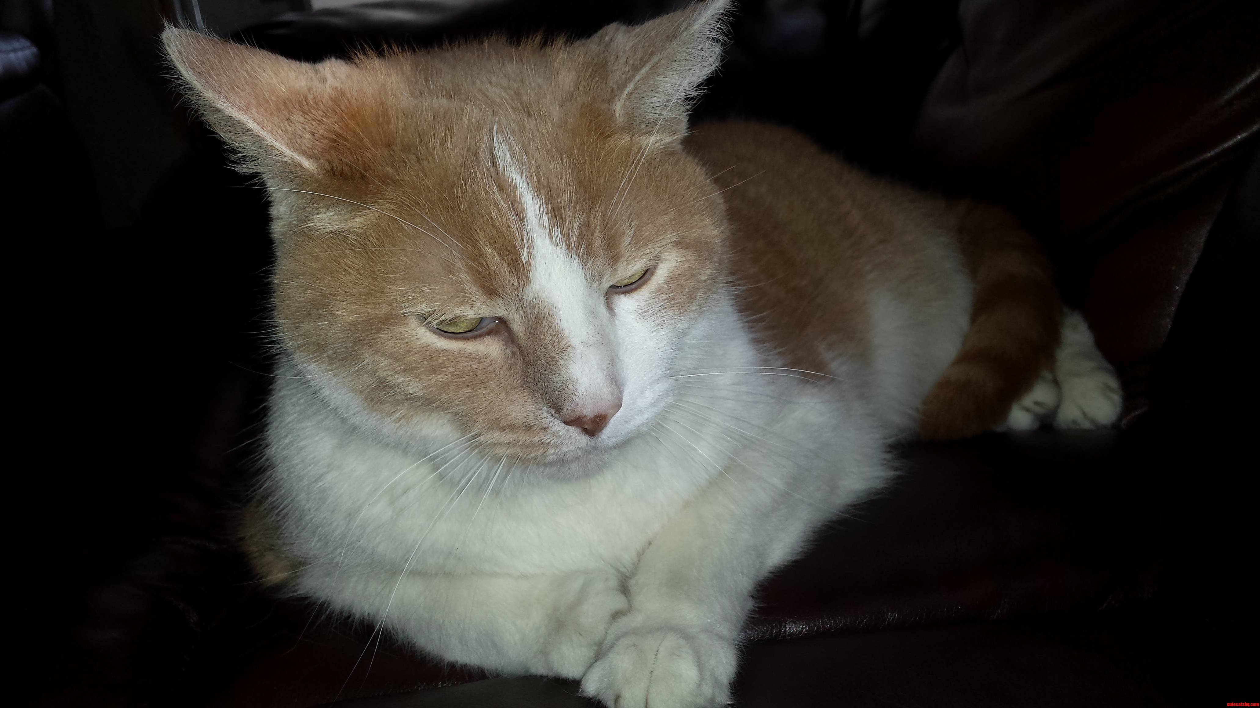 14 Years Old and Mejestic