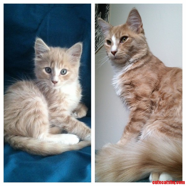 4 Months Sure Makes a Difference