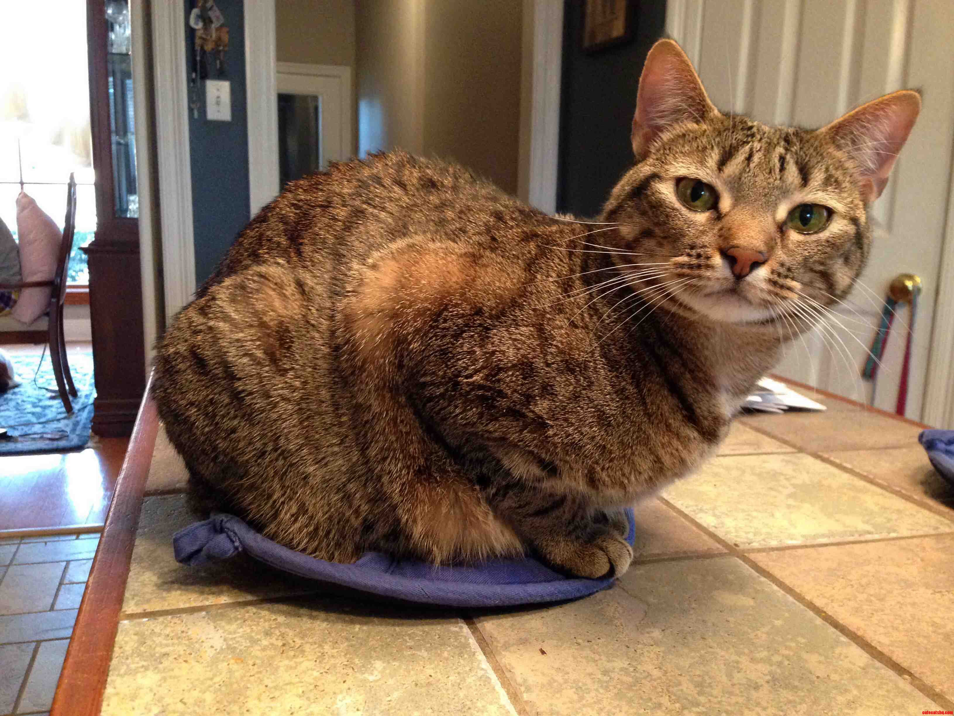 Actually Im Not on the Counter. Move Along.