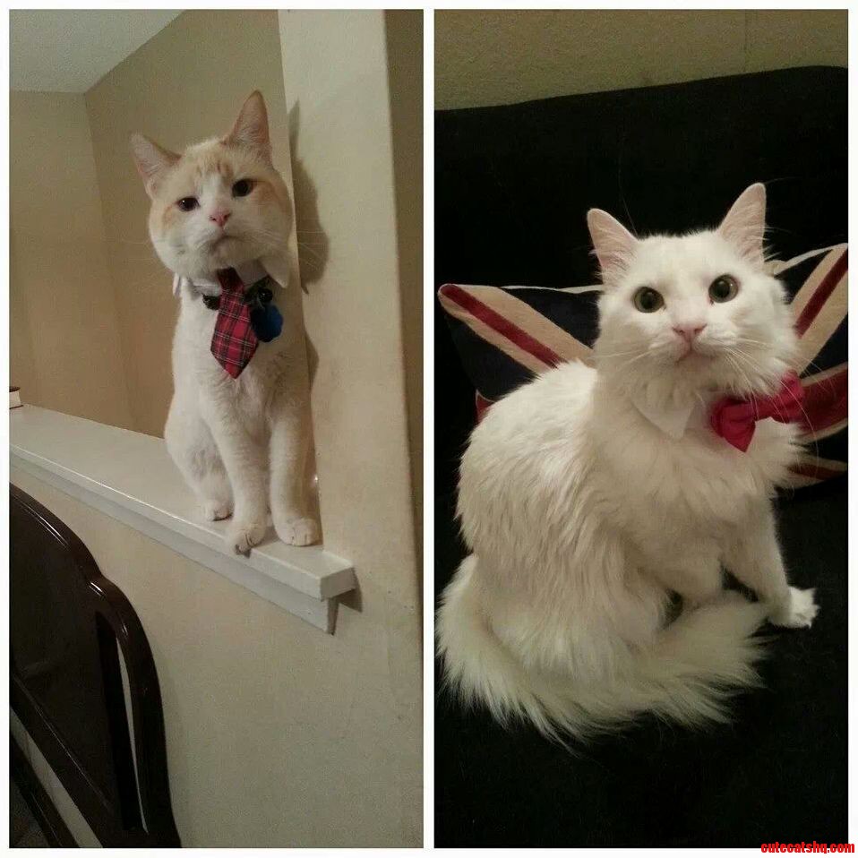 Albert and Gabriel All Dressed Up