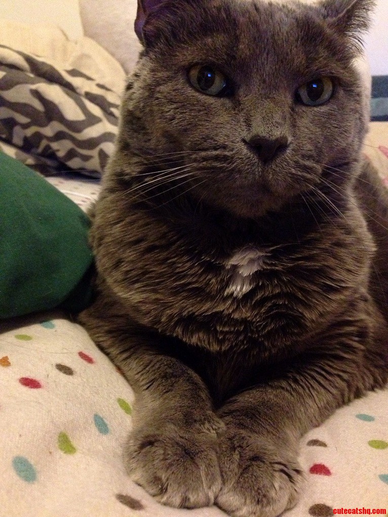 Always Judging