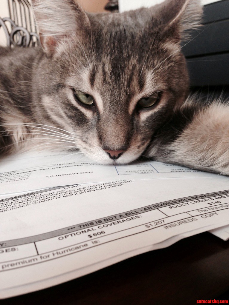 Always on His a Game. Always on Top of the Work.