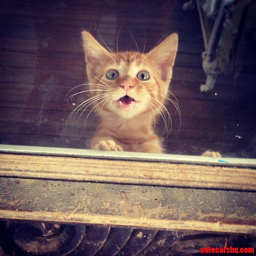 Amazed by the Outside