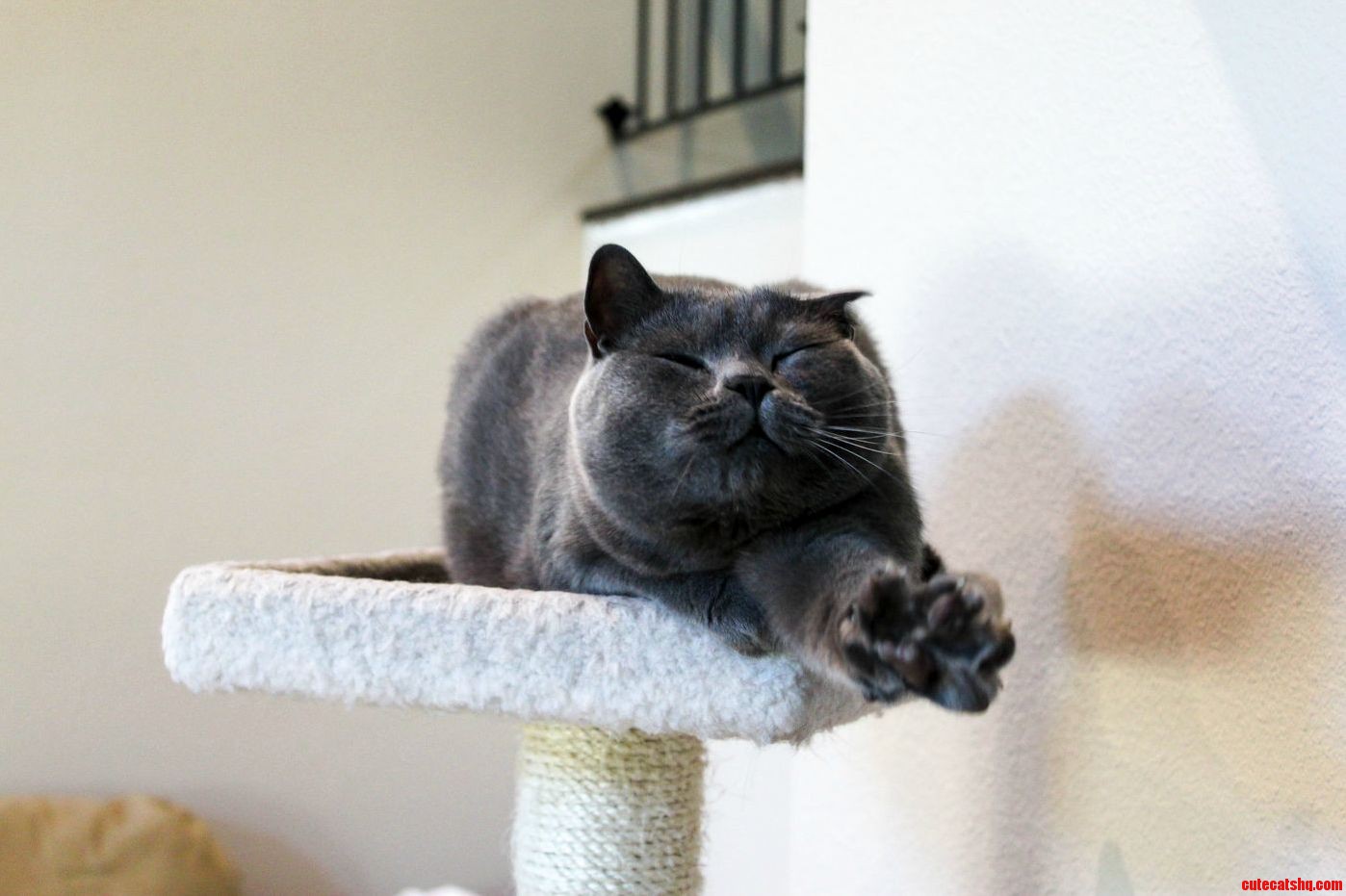 And Reach