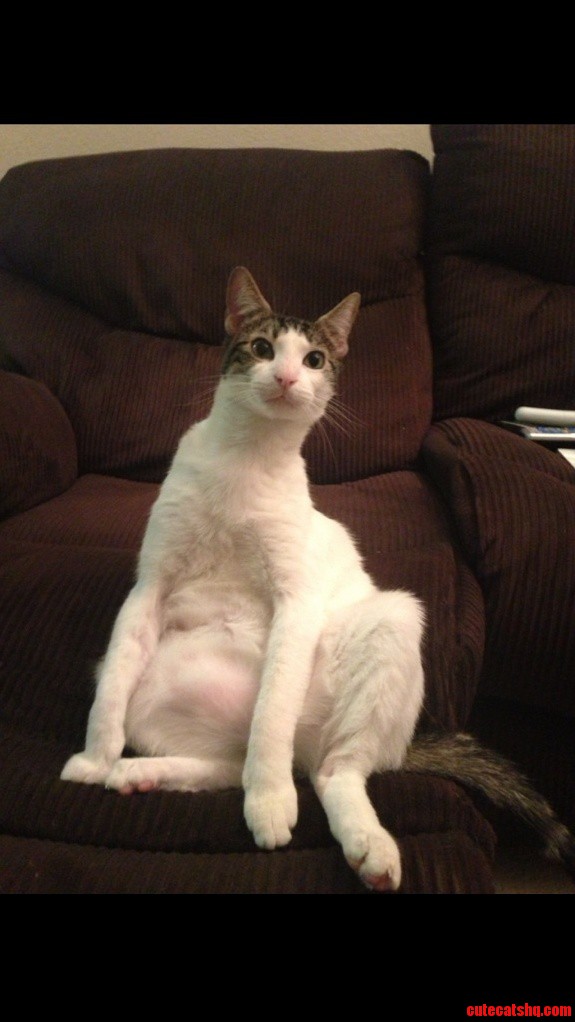 Another of Copy Just Hanging Out.