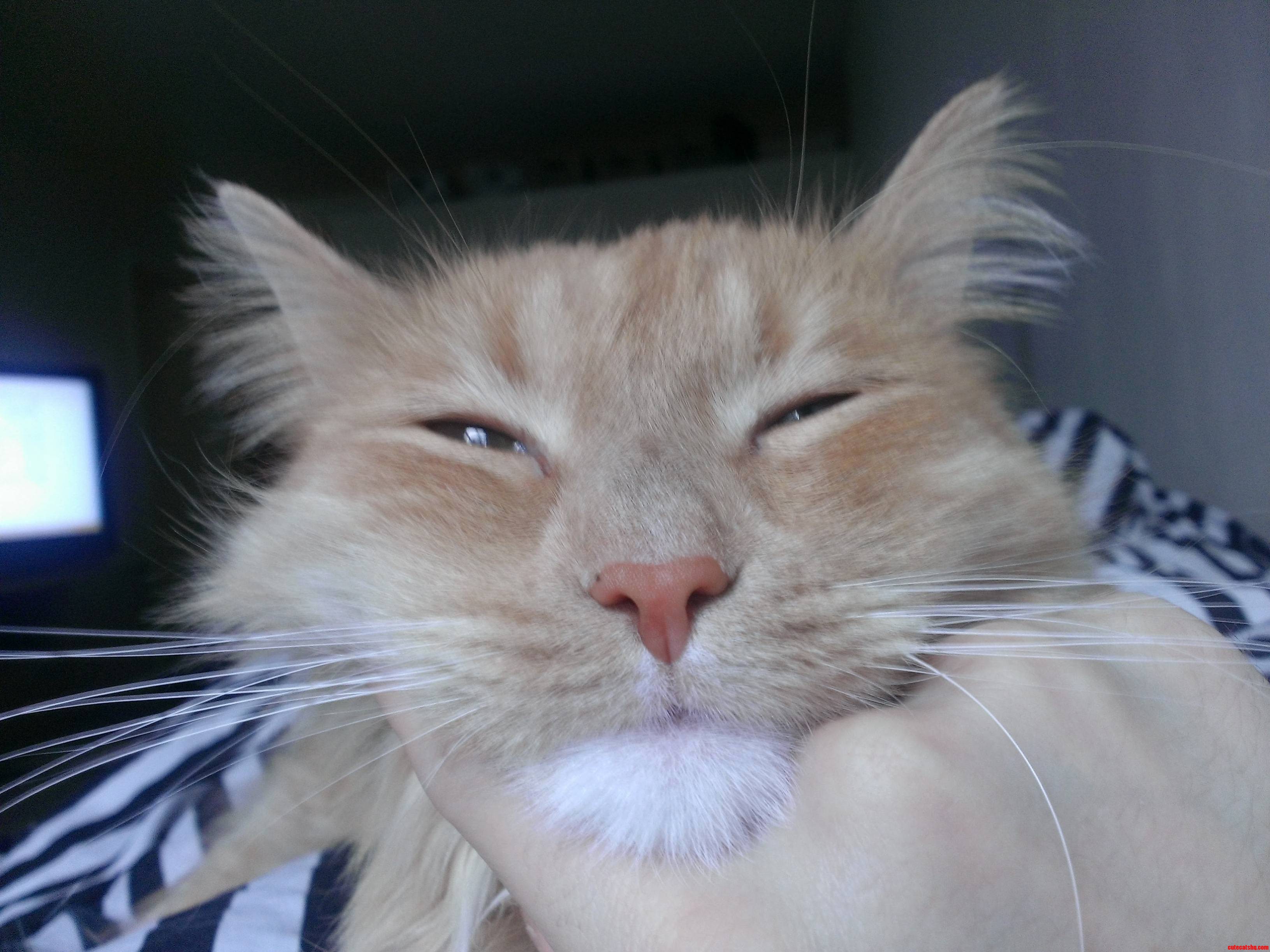 Aww Yiss Thats the Spot