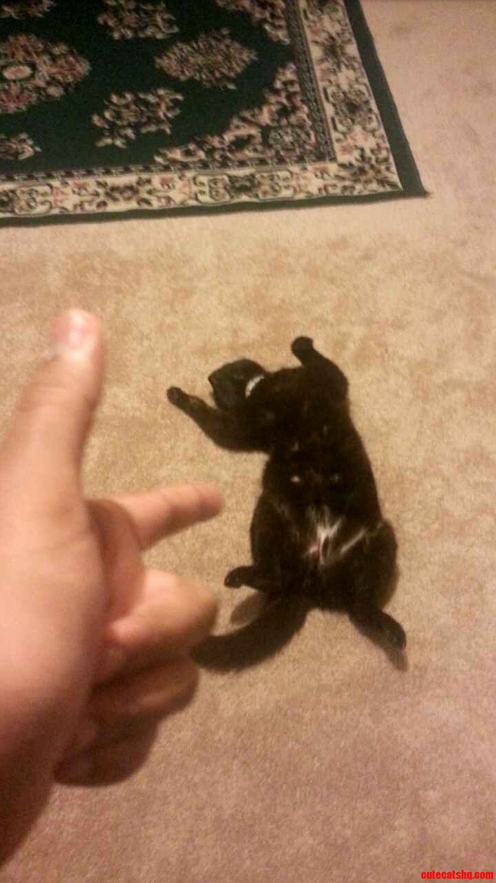 Bang