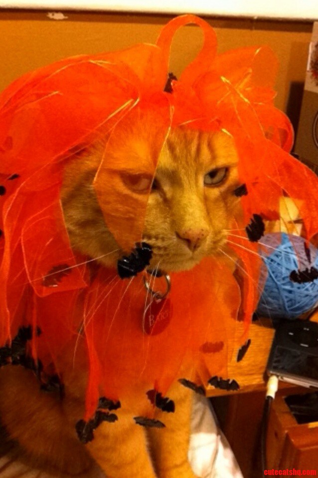 Bart Being Generally Pissy About Putting on Last Years Halloween Costume.