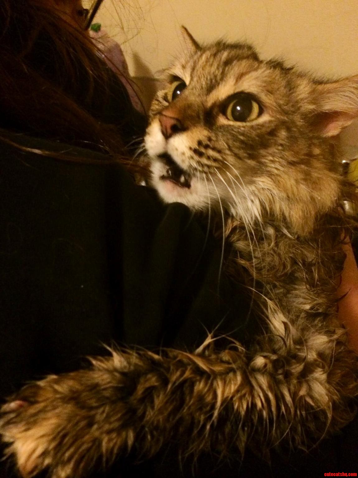 Bath Time Level Death