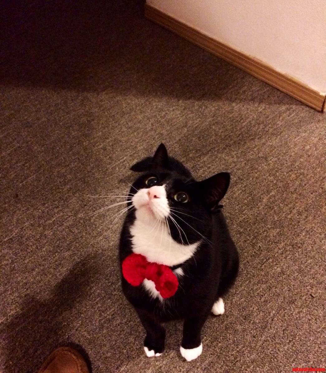 Be Mine Valentine
