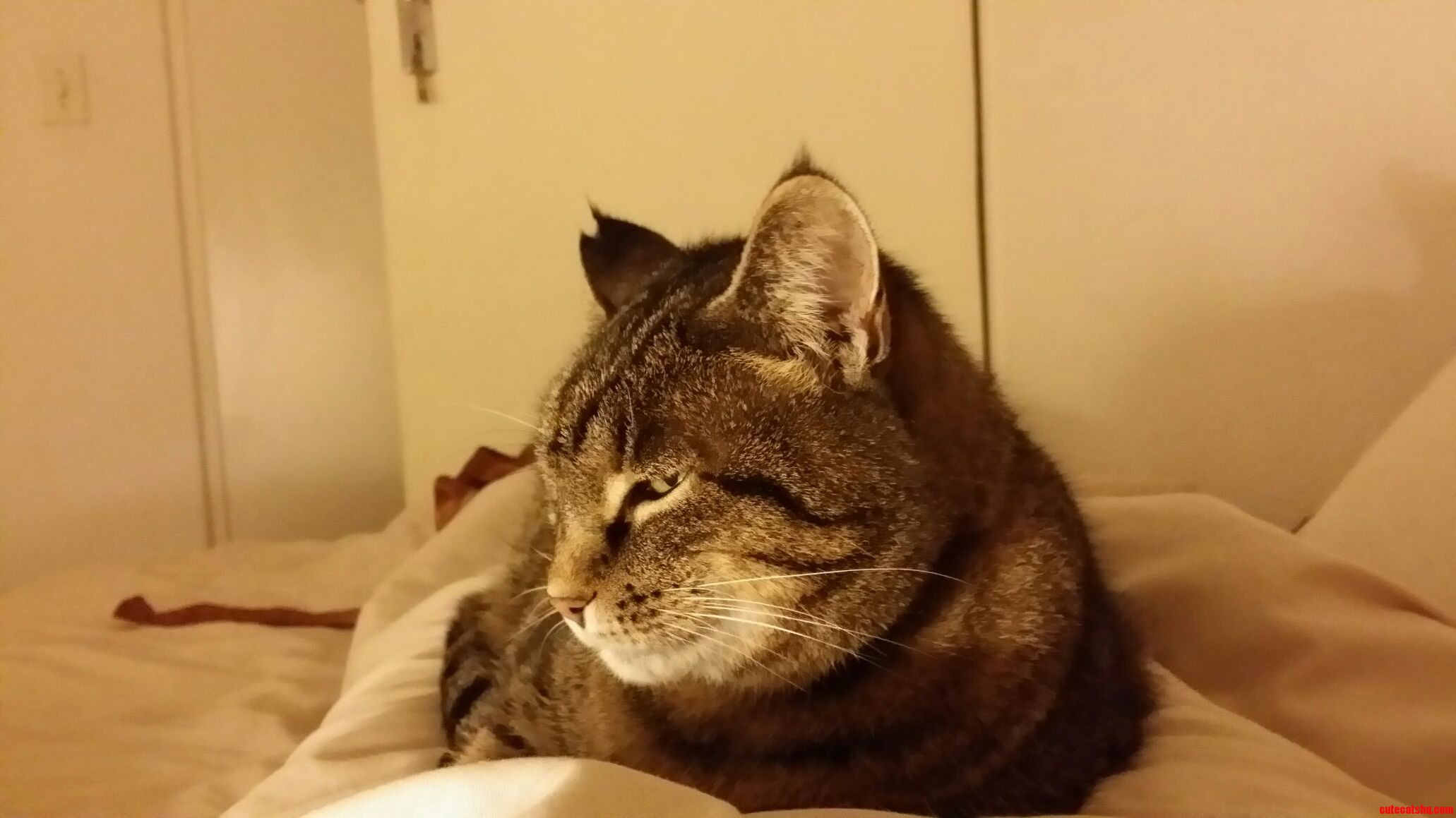 Bedtime 3