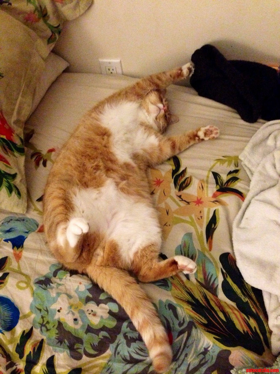 Big Guy Dre Masters the Art of Chilling