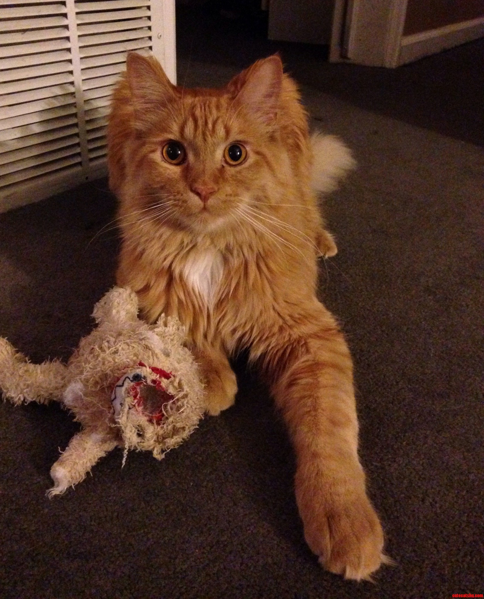 Blaise with His Latest Kill.