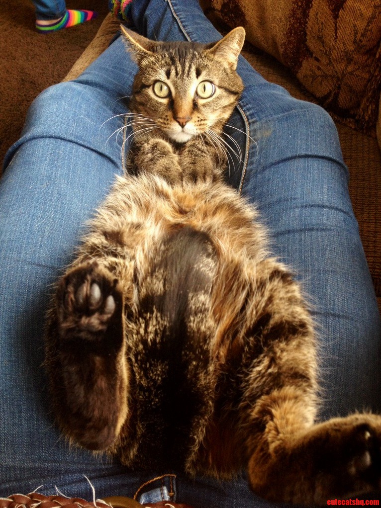 Bob Isnt Too Sure on This Position..