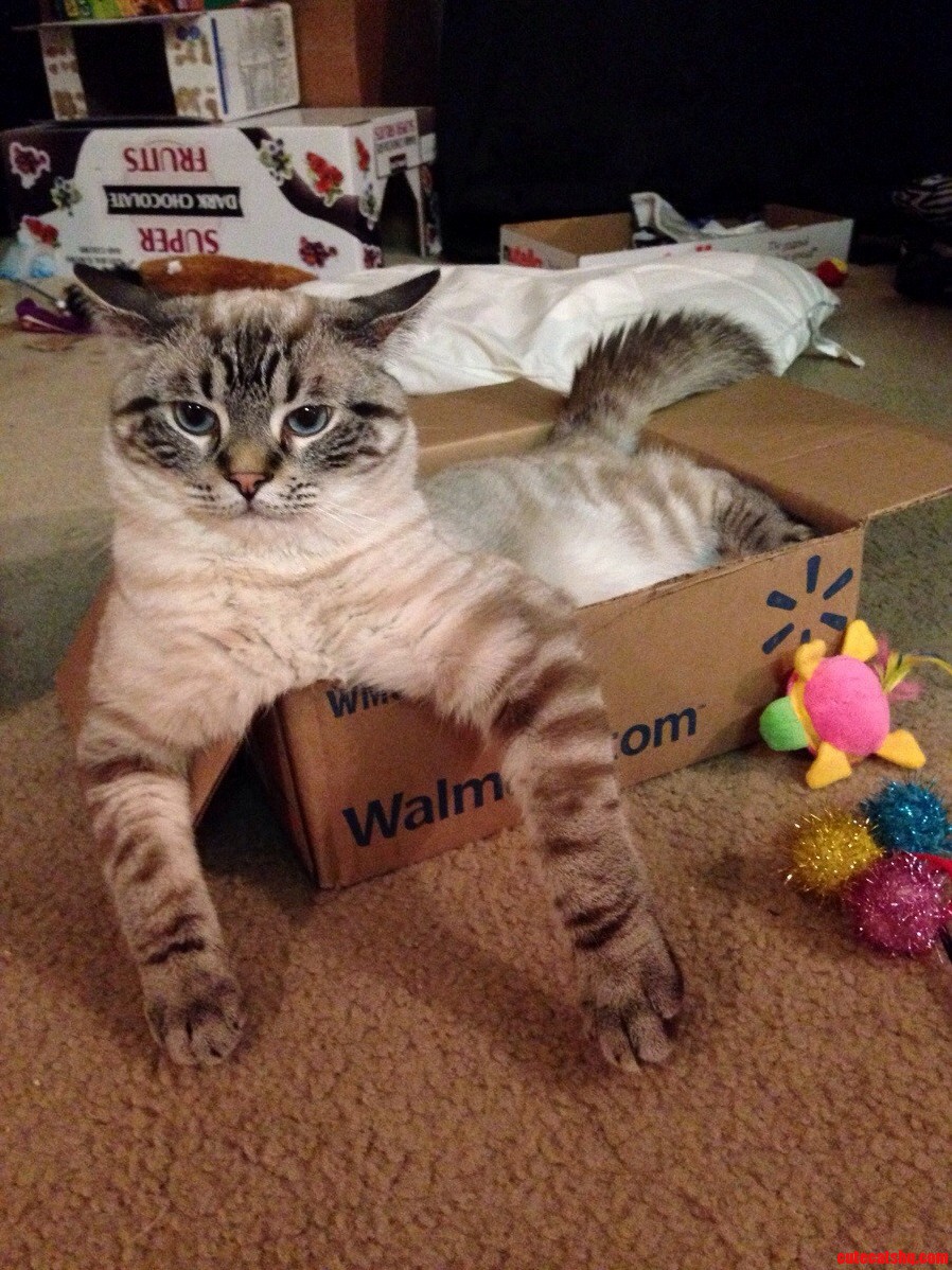 Box Rating Meh.