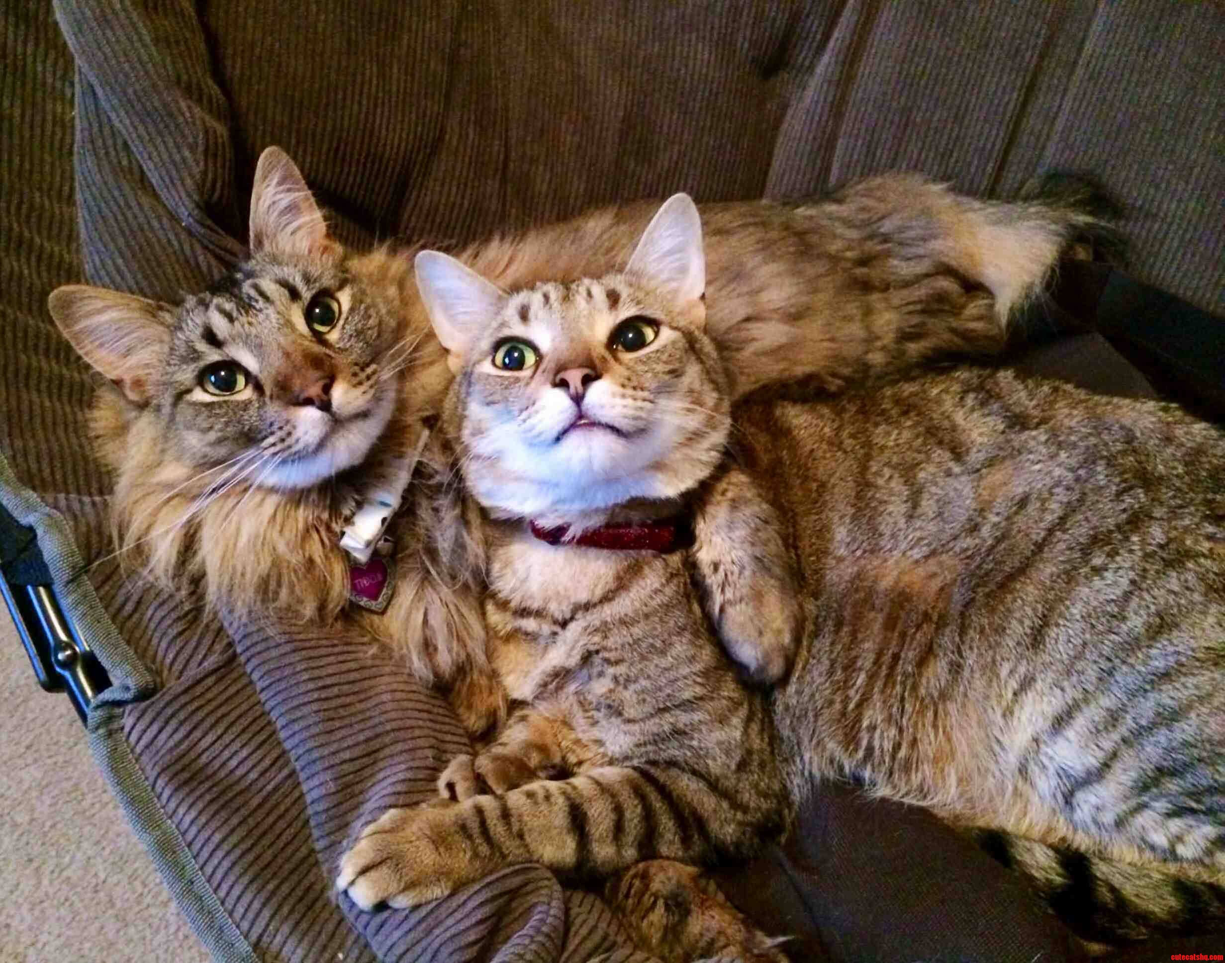 Bros for Life
