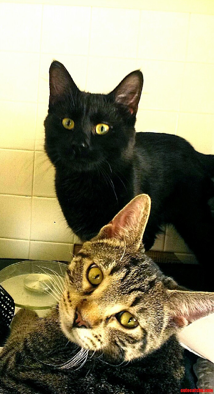 Brothers...