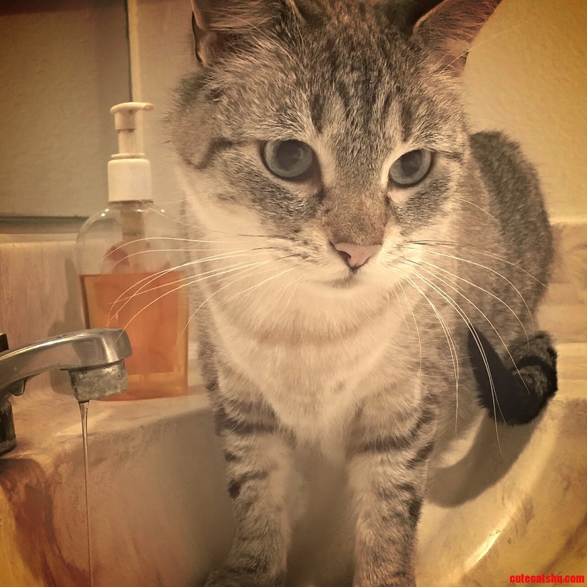 Brushing My Teeth Has Become Very Difficult.