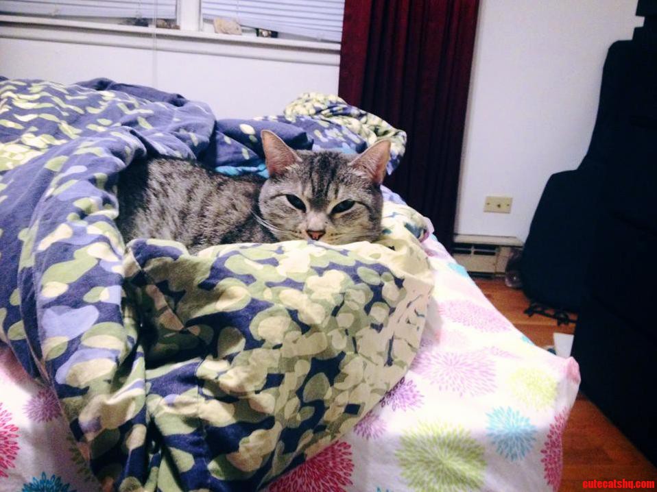 Bundled Up Nugget