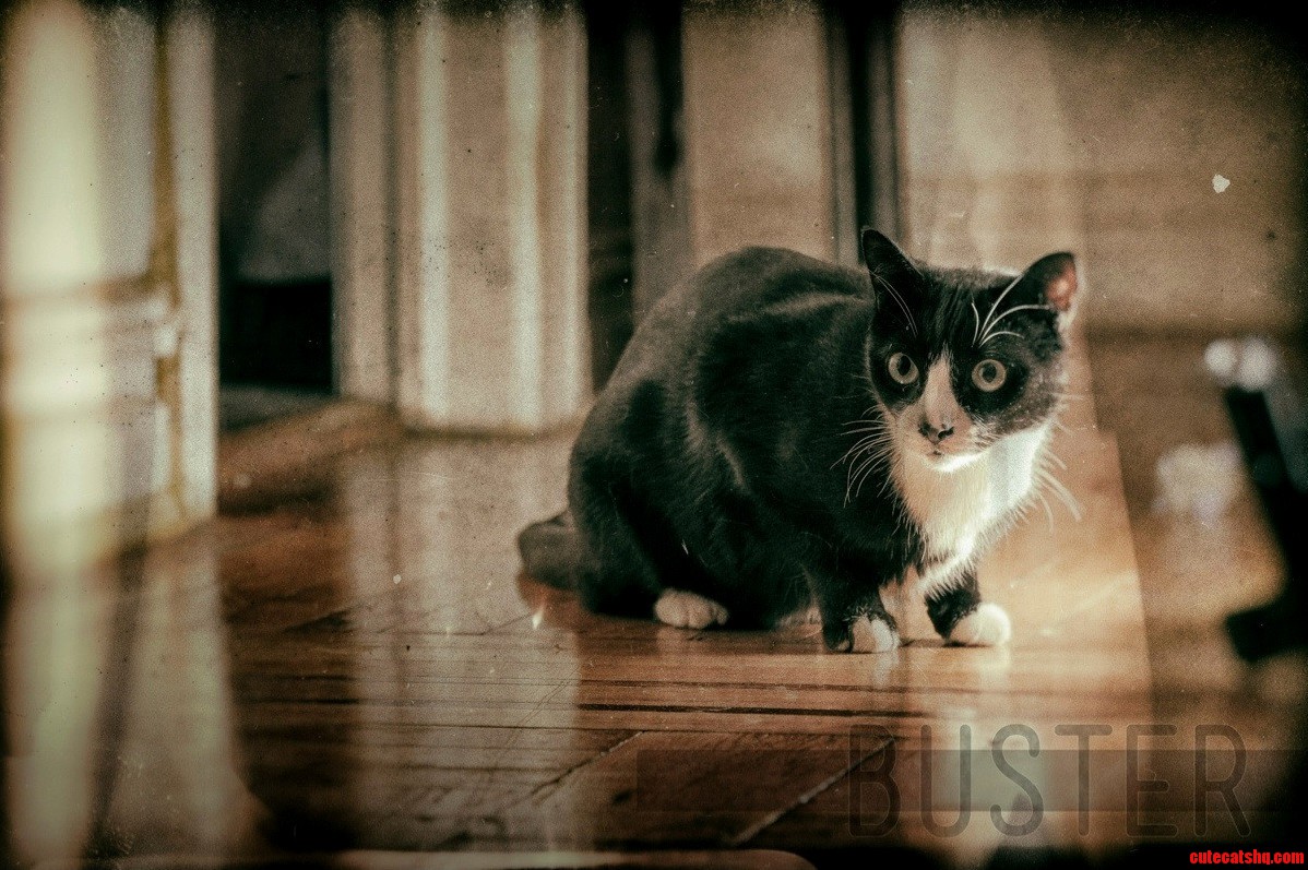 Buster. Day 1.