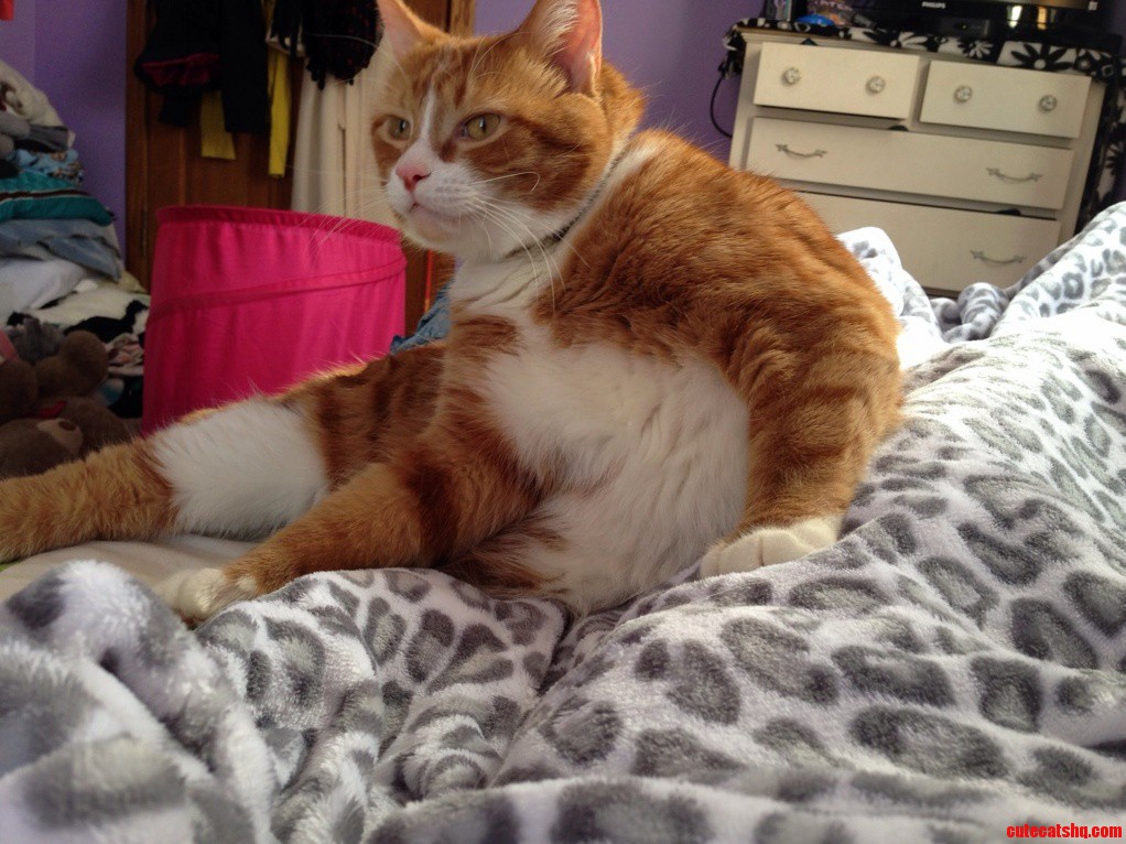 Butters Is Seducing the Ladies.