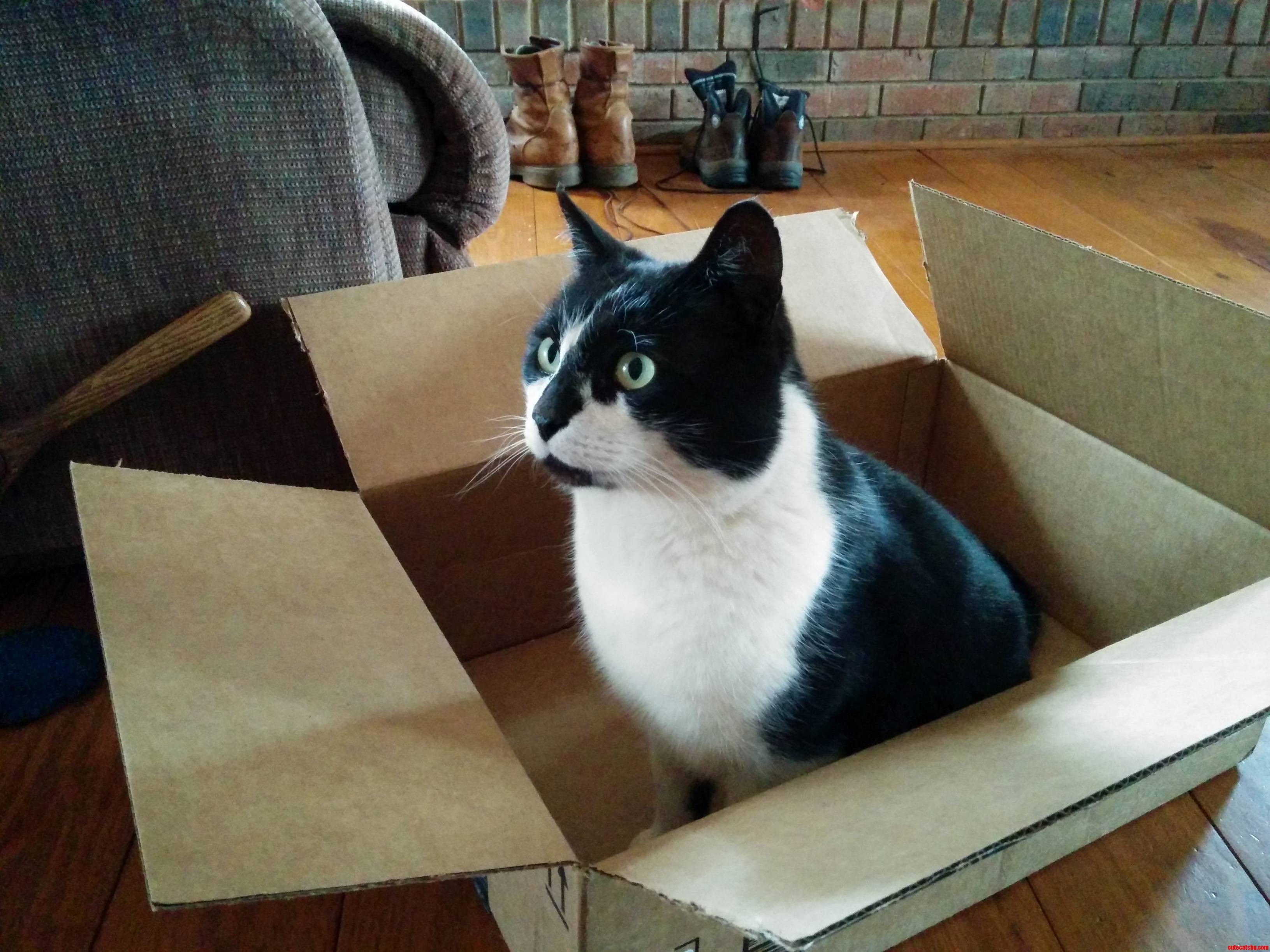 Byron and His Other Box.