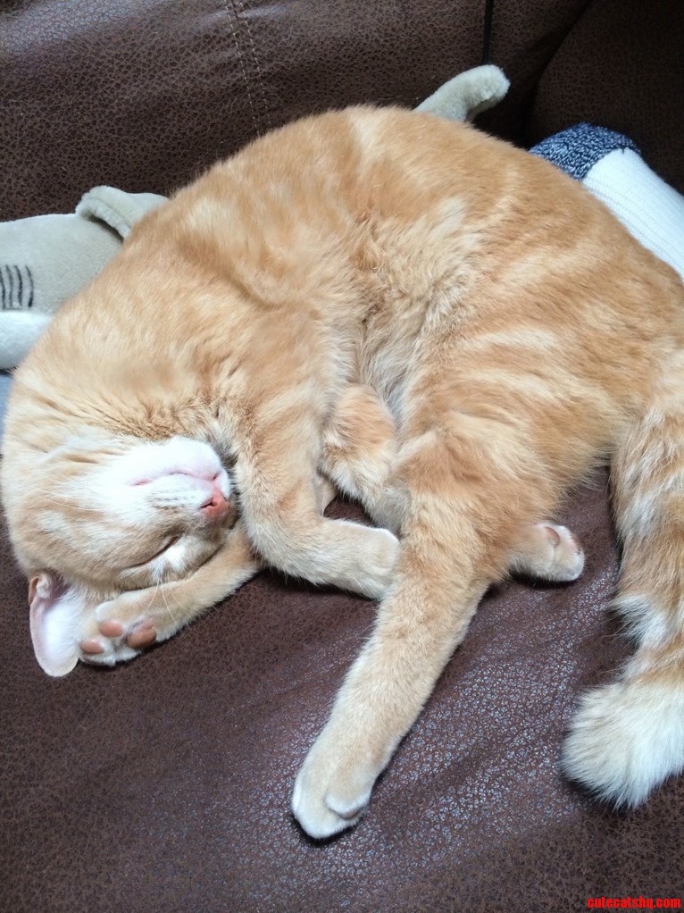 Came Home to This.