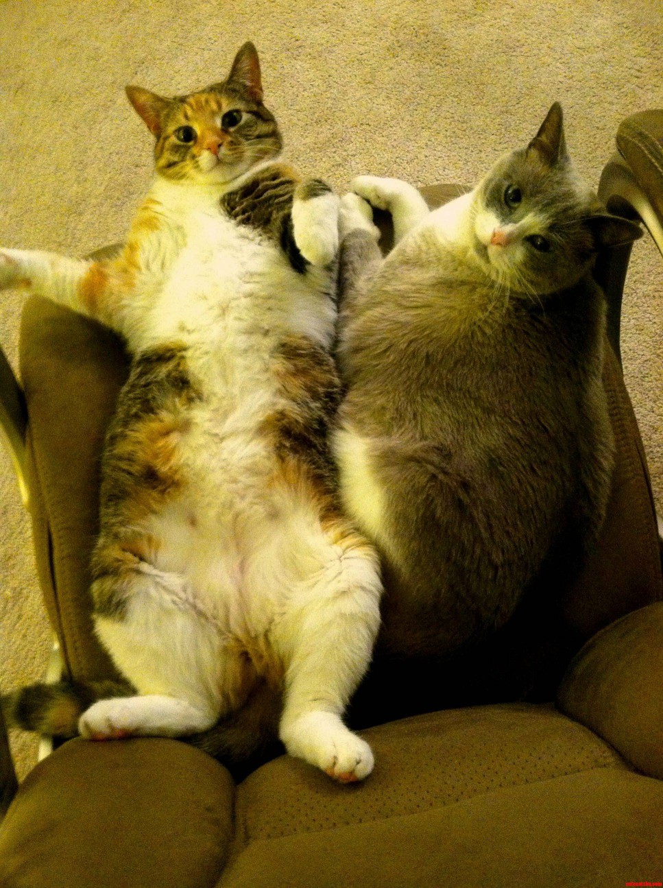 Can We Help You