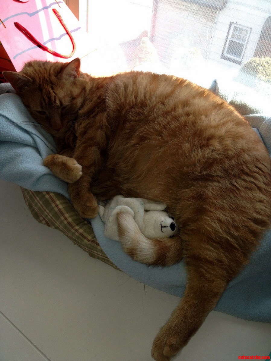 Casey Has Had This Seal for Ten Years He Carries It Around with Him and Even Tries to Feed It