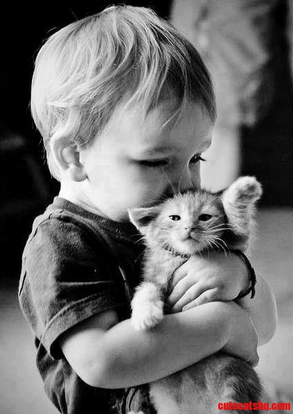 Cat and Kid Sooo Cute