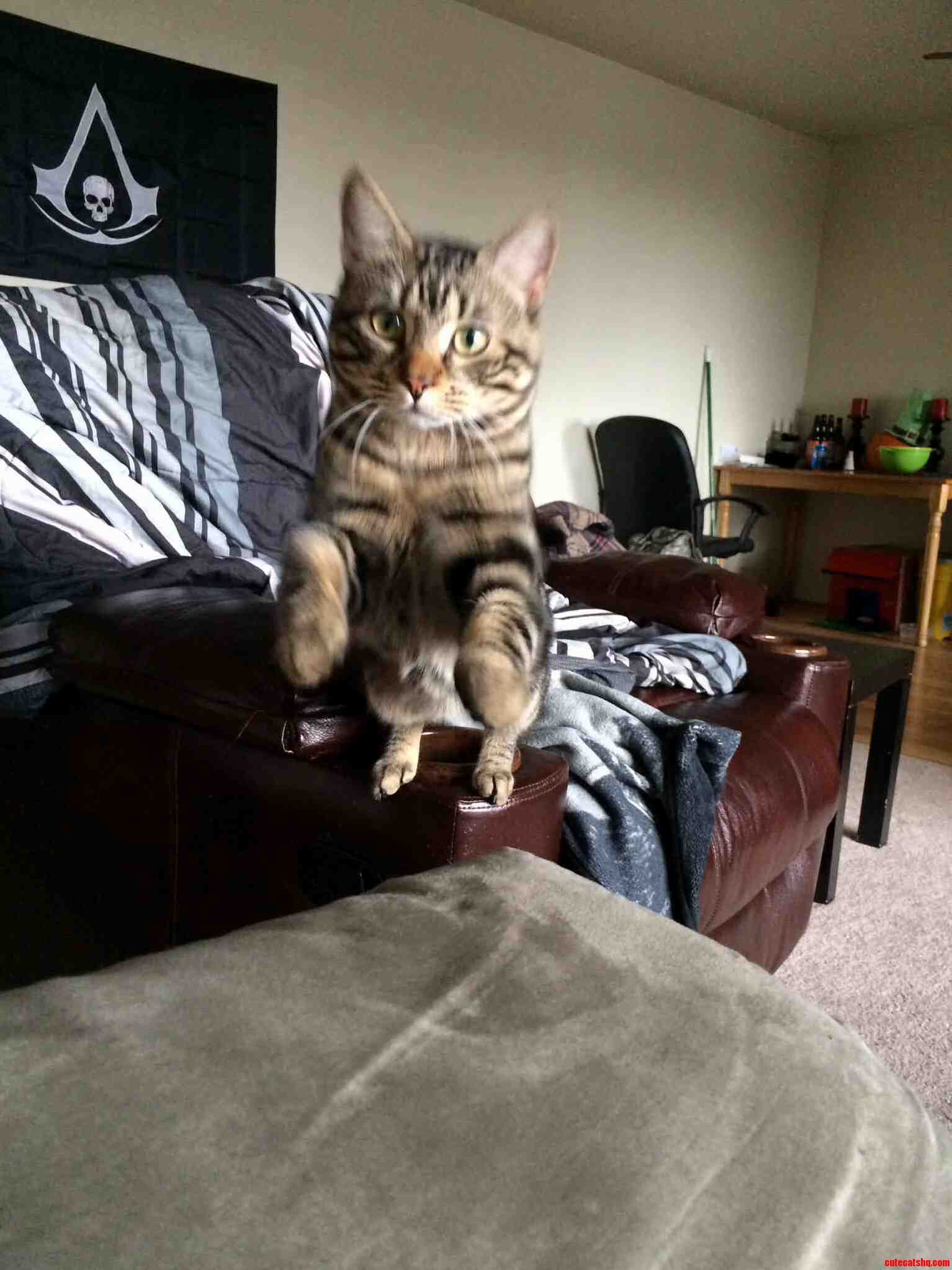 Caught Him Mid Leap