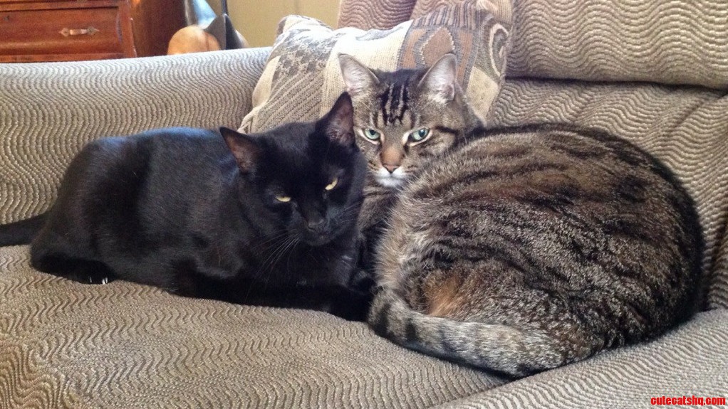 Caught These Two. If You Ask Them They Hates Each Other.
