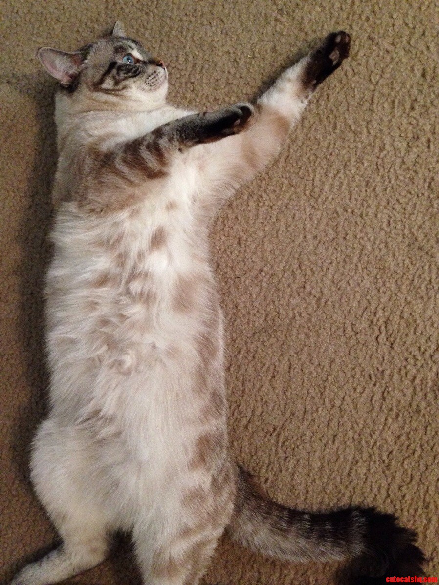 Cause This Is Thriller Thriller Night