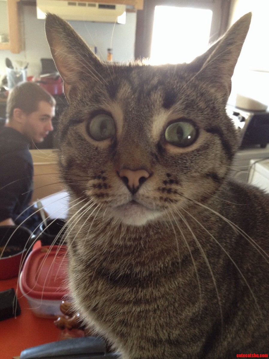 Celery Has Huge Eyes. He Just Looks Perpetually Terrified.