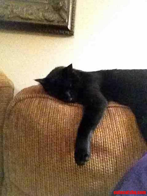 Chillaxin to the Max