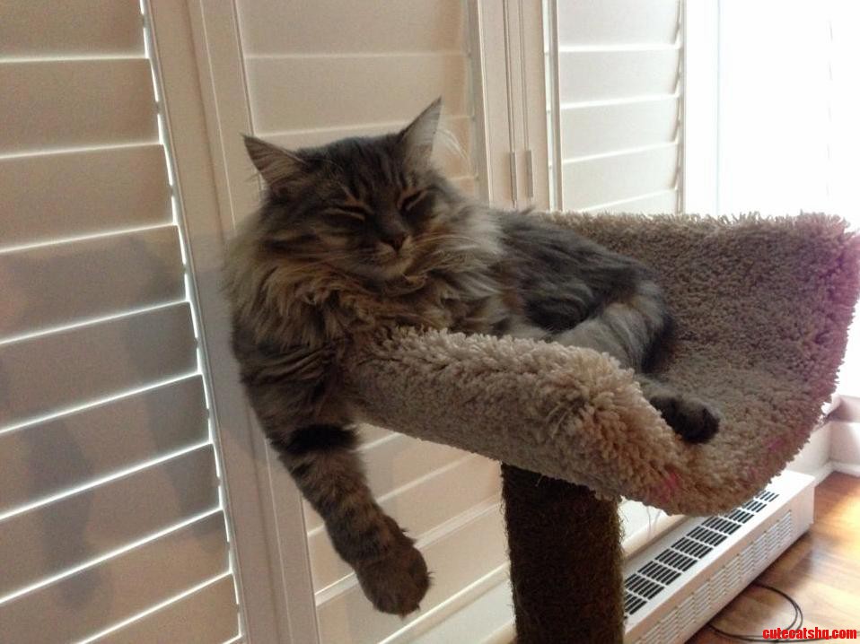 Chillin Like a Villain