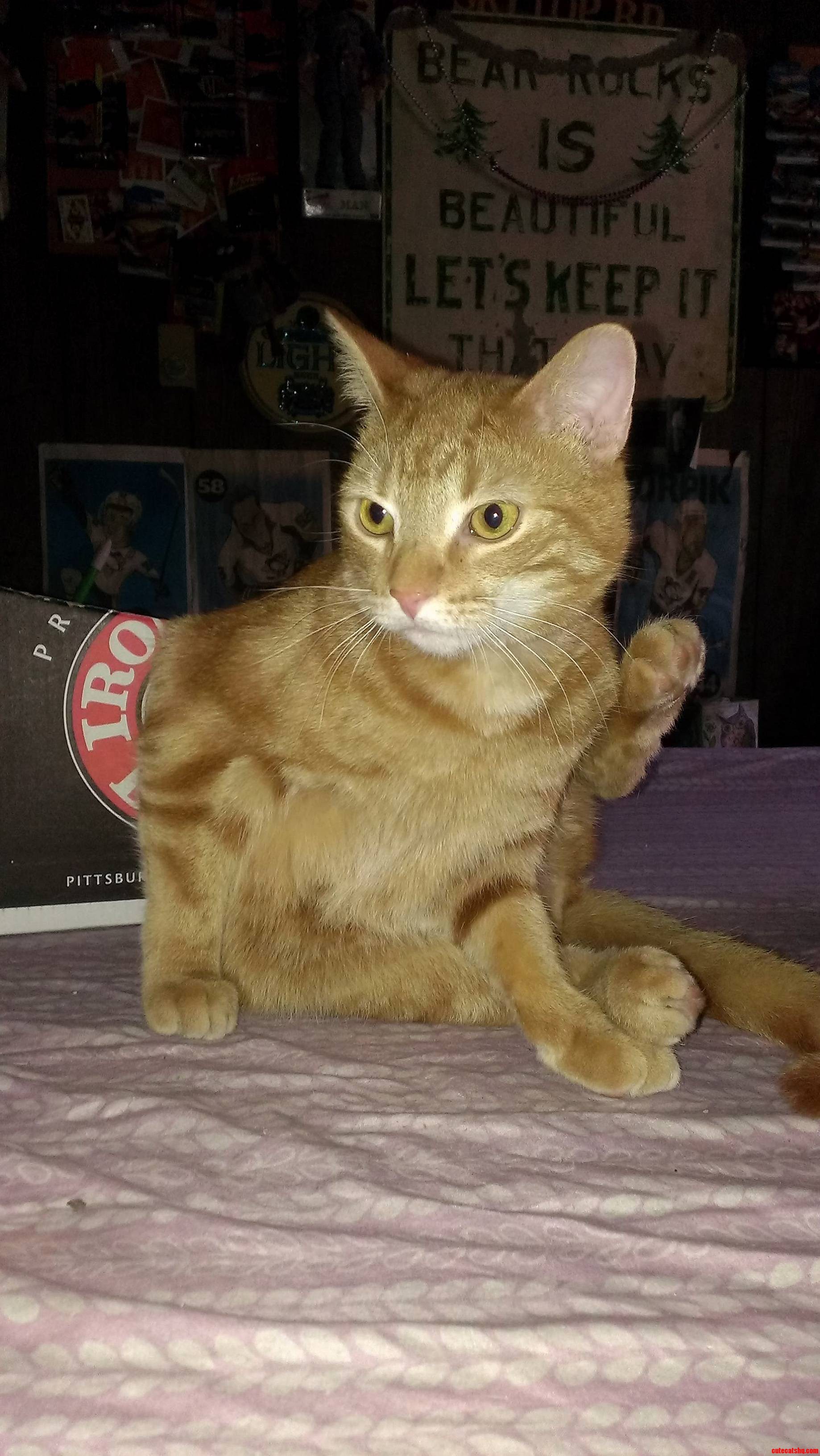 Chuck Is Not Amused