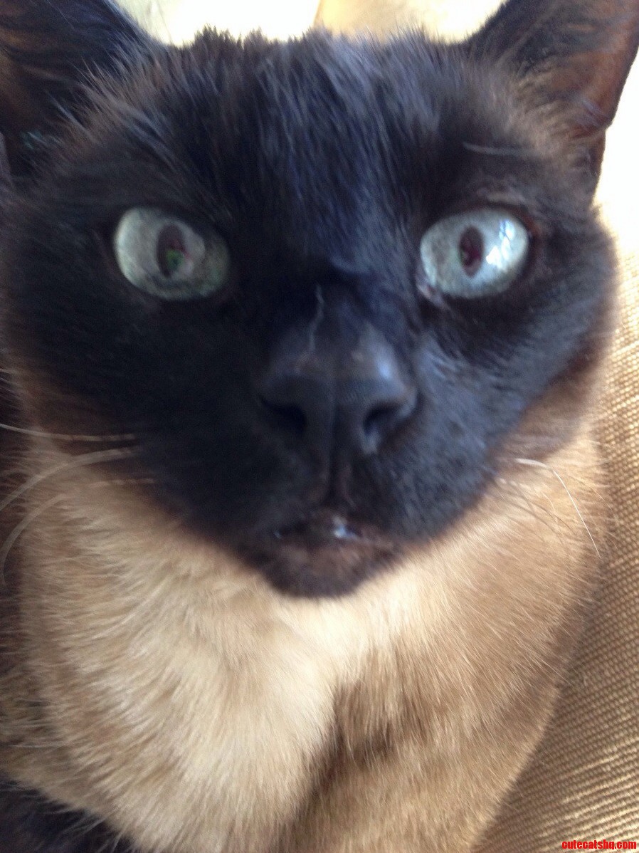 Close Up