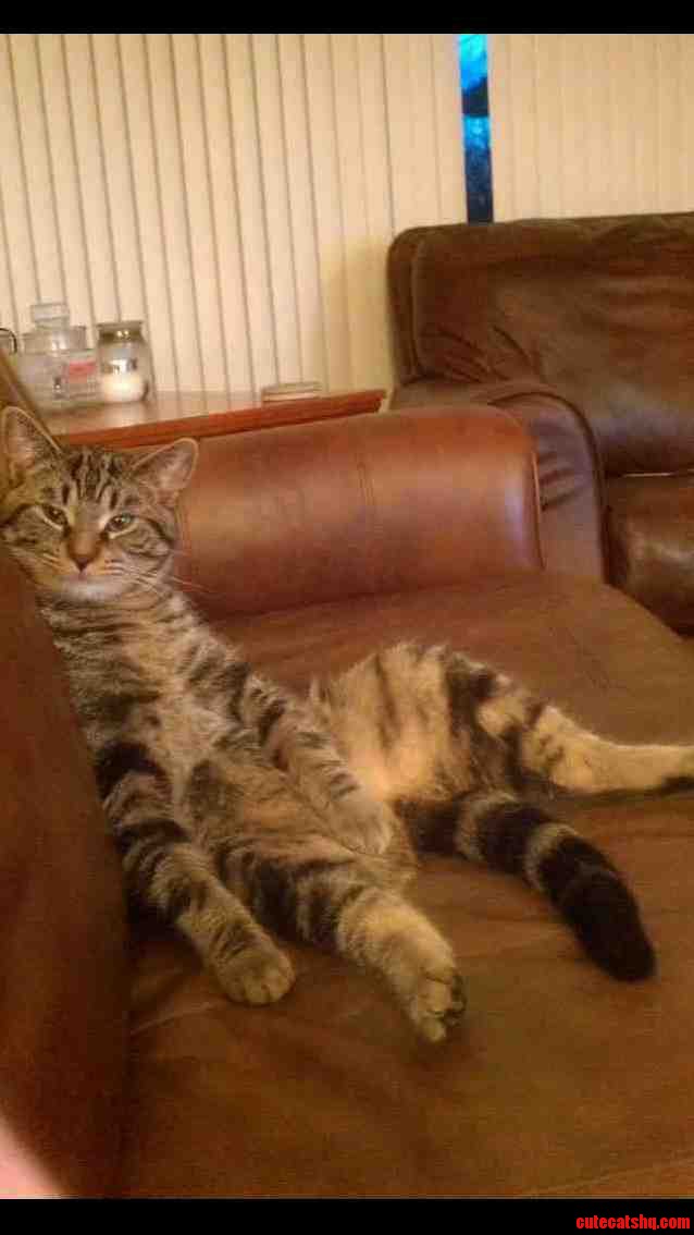 Come Here Often
