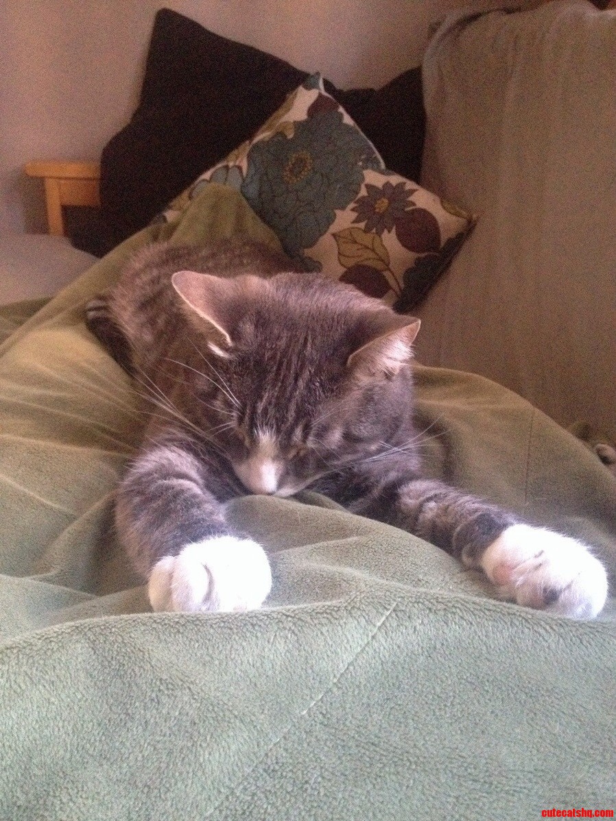 Comfort Level One Thousand