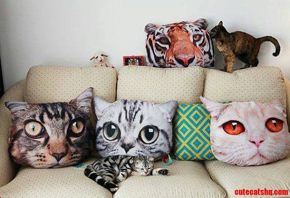 Cute or Scary