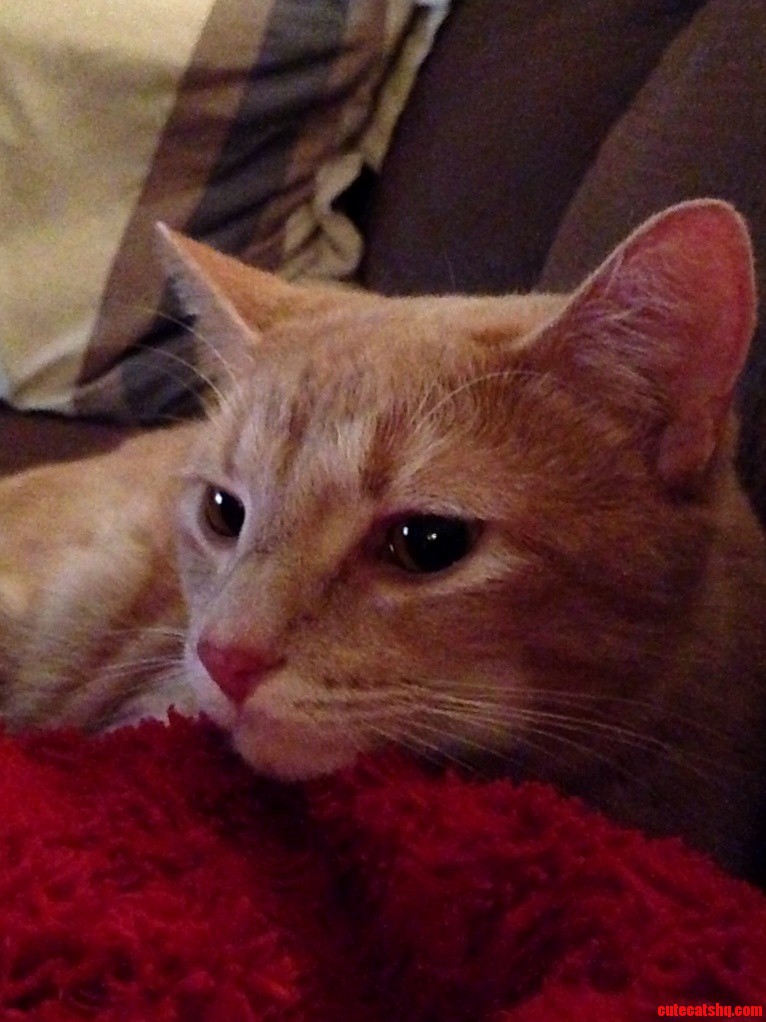 Deep Thought.