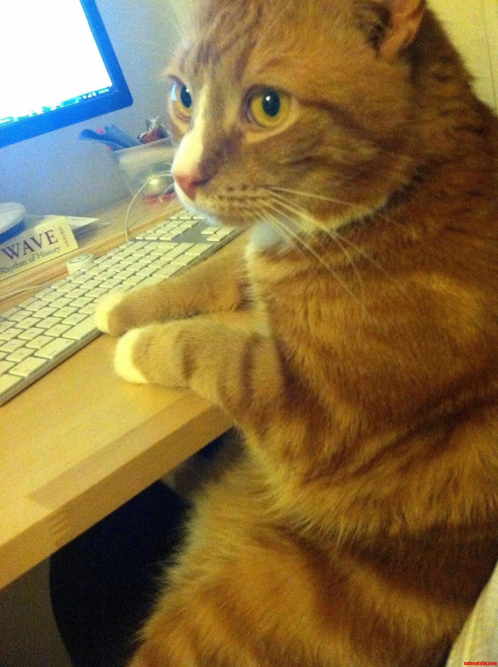 Denver Taking a Break from G-catting