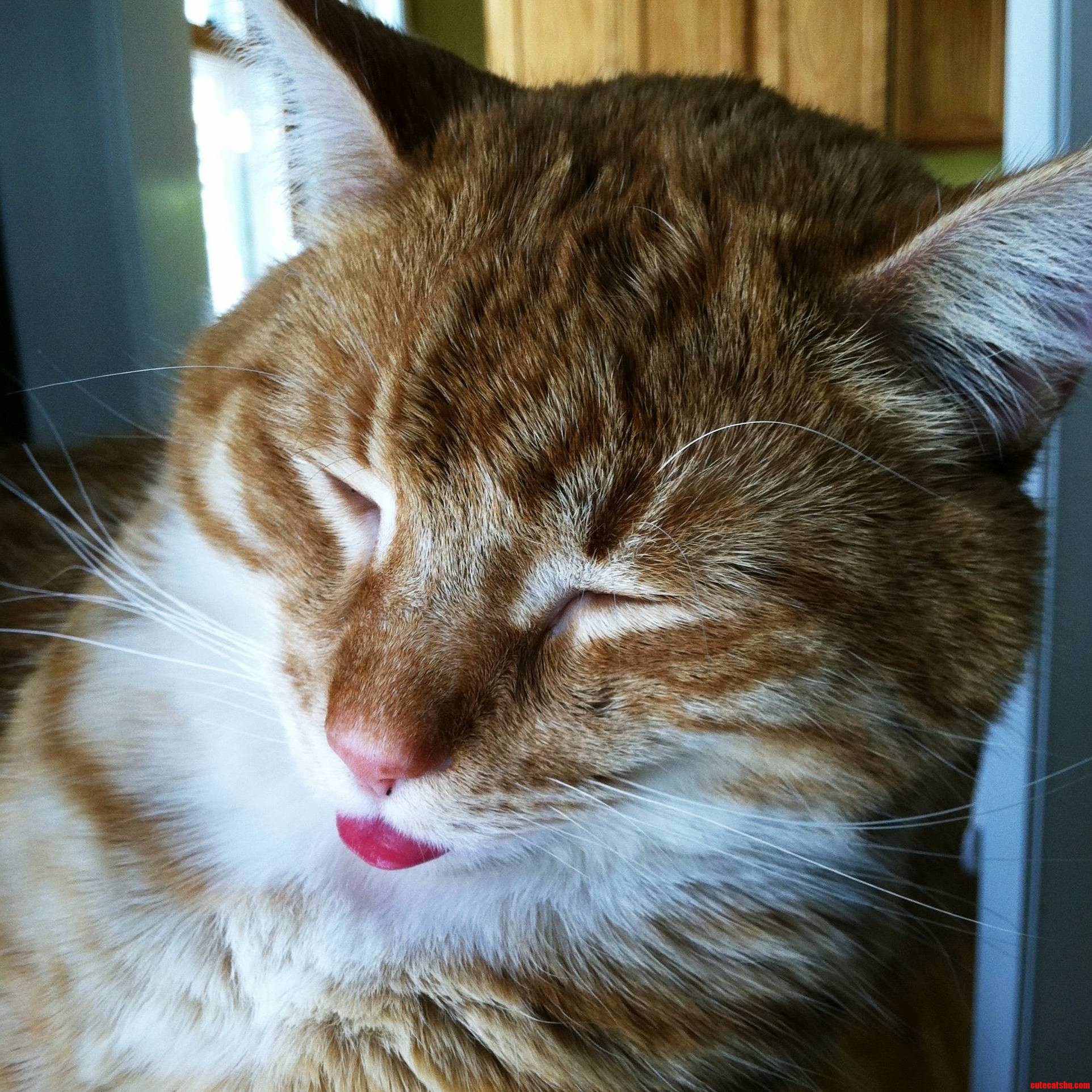 Derp Zzzzzzzz