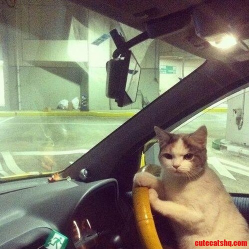 Did You Seriously Leave the Map at Home