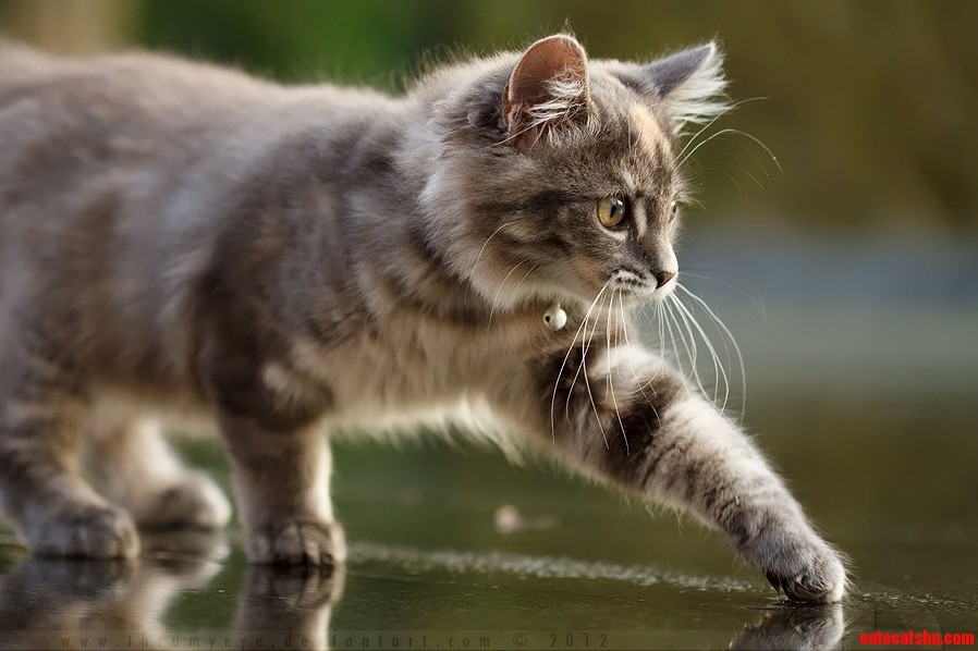Discovering Water