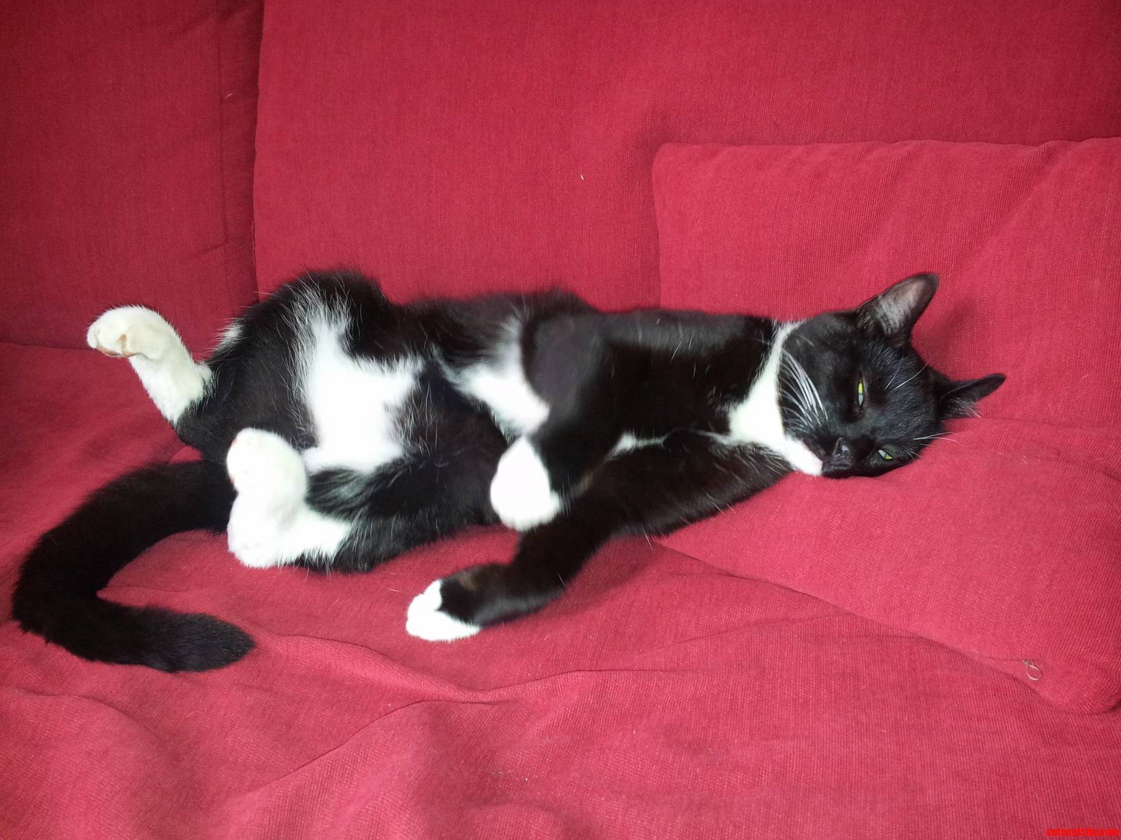 Draw Me Like One of Your French Girls.